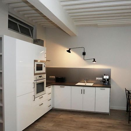 55 M2 Apart With Big Terrace In Annecy Downtown Extérieur photo