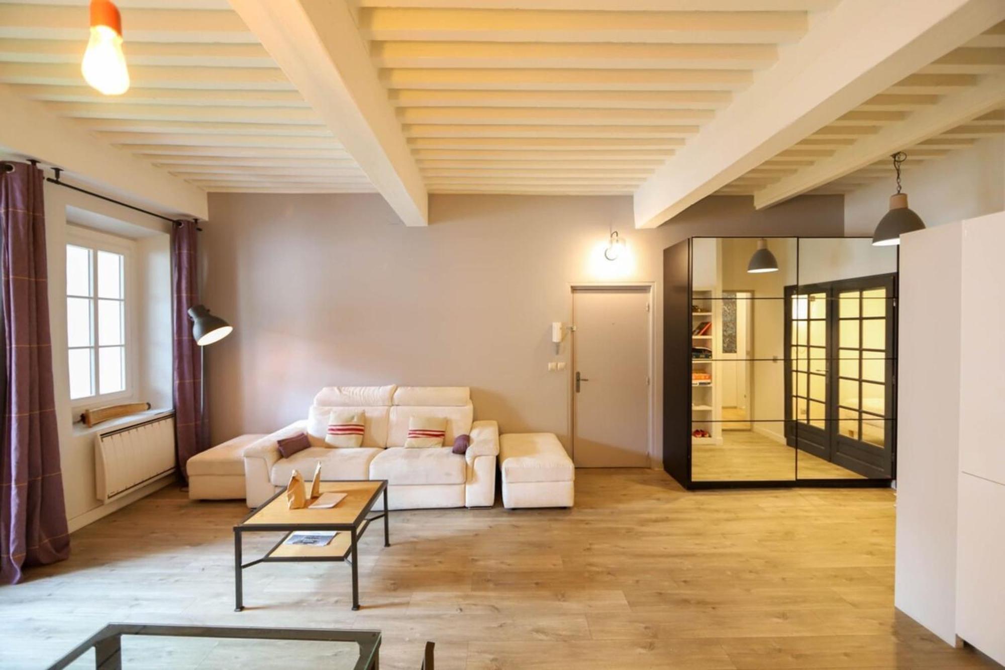 55 M2 Apart With Big Terrace In Annecy Downtown Extérieur photo